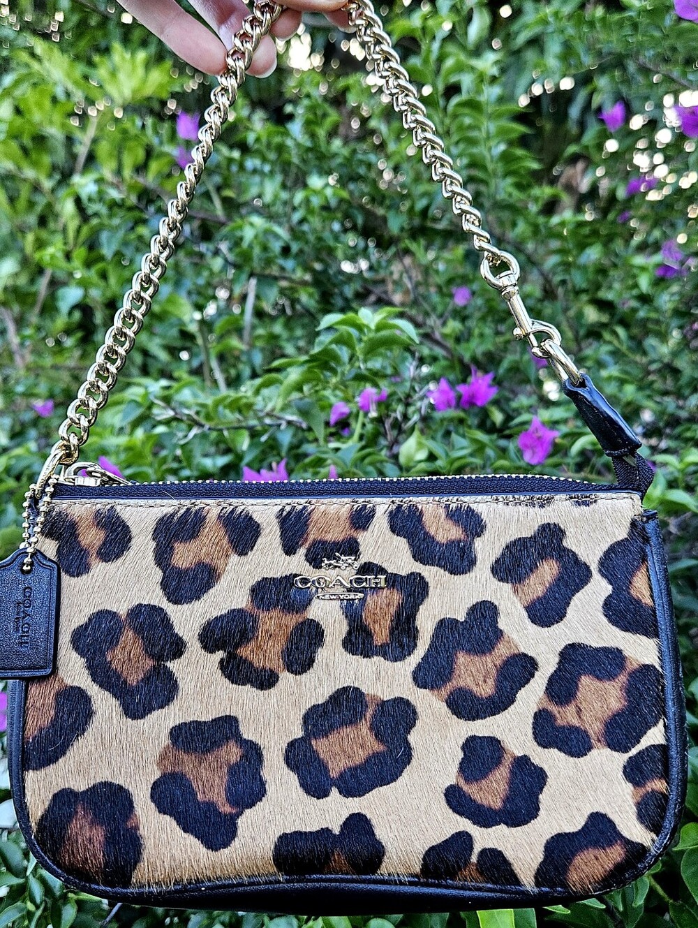 Coach Large Chain Wristlet 19 Leopard Haircalf Calf Hair Mini Bag